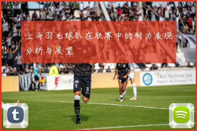 上海羽毛球队在联赛中的耐力表现分析与展望