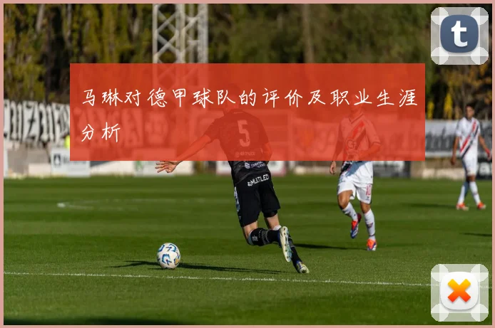 马琳对德甲球队的评价及职业生涯分析